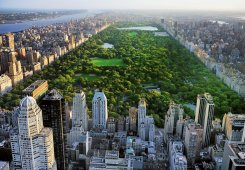 Central Park som grön fondtapet